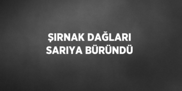 30947260702324821012tasarimli