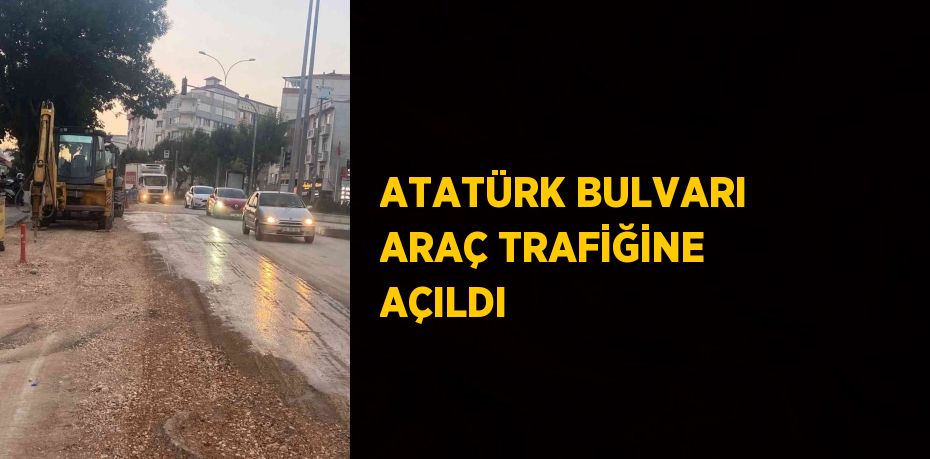 30949281412558823120