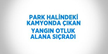 30953237543093024493tasarimli