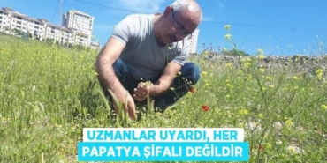 30953278442145321004tasarimli