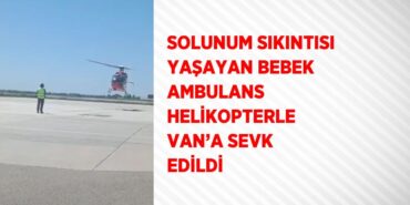 30954220802594831249