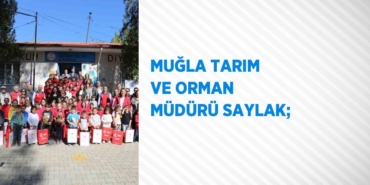 30956244552781827756