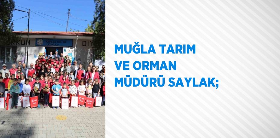 30956244552781827756