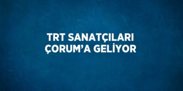 30958269942814931500tasarimli