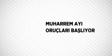 30960214572268927299