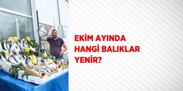 30973217603072330152