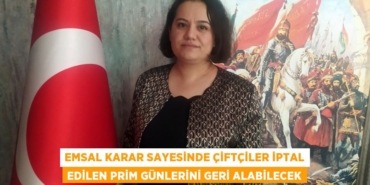 30976242182526130117tasarimli