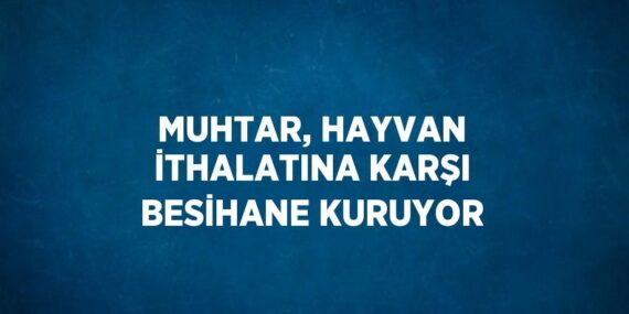 MUHTAR, HAYVAN İTHALATINA KARŞI BESİHANE KURUYOR