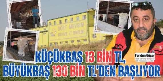 KÜÇÜKBAŞ 13 BİN TL, BÜYÜKBAŞ 130 BİN TL’DEN BAŞLIYOR