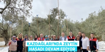 30978288833183125318tasarimli