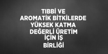 30980217542848125419tasarimli