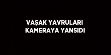 30989239702763324236tasarimli