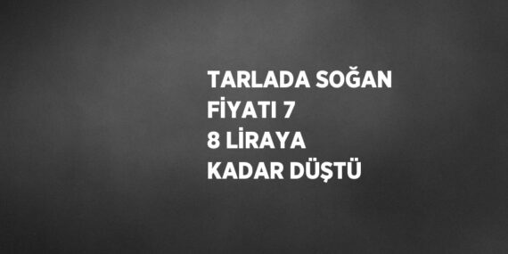 TARLADA SOĞAN FİYATI 7 8 LİRAYA KADAR DÜŞTÜ