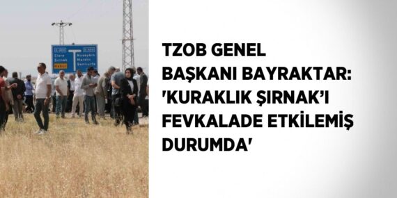 TZOB GENEL BAŞKANI BAYRAKTAR: ‘KURAKLIK ŞIRNAK’I FEVKALADE ETKİLEMİŞ DURUMDA’