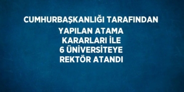 31000317692359324023tasarimli