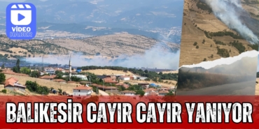 31002252852515530275