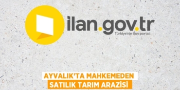 31011223102245431137tasarimli