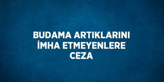 BUDAMA ARTIKLARINI İMHA ETMEYENLERE CEZA