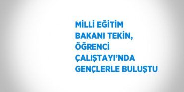 31021272052982026238