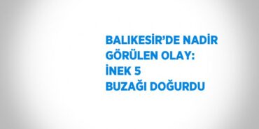 31025277422167626268