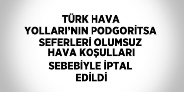 31029235213100829258tasarimli