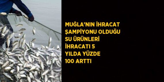 MUĞLA’NIN İHRACAT ŞAMPİYONU OLDUĞU SU ÜRÜNLERİ İHRACATI 5 YILDA YÜZDE 100 ARTTI