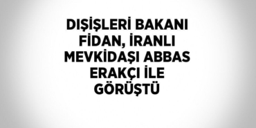 31043289022749531339tasarimli