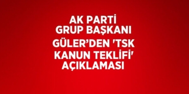 31045310632667921799tasarimli