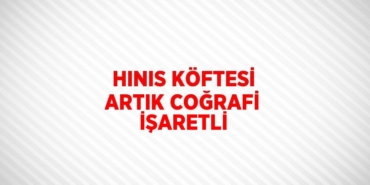31058286142041824557tasarimli