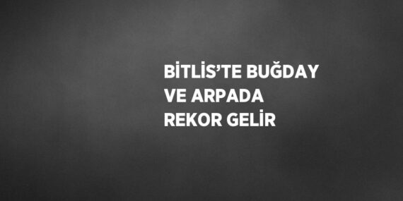 BİTLİS’TE BUĞDAY VE ARPADA REKOR GELİR