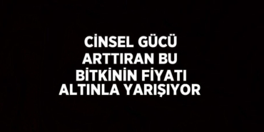 31068302602985023214tasarimli