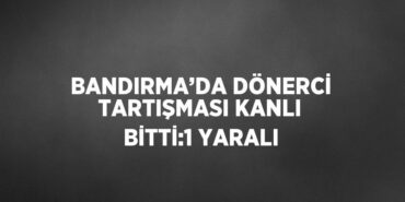 31077261892362222187tasarimli