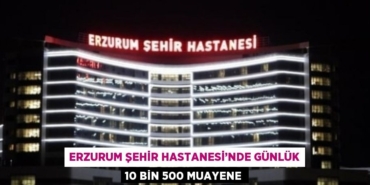 31077263302465731007tasarimli