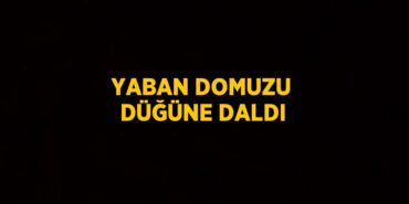 31082298772567230787tasarimli