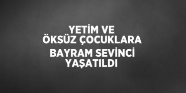 31085283492827831369tasarimli