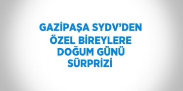 31088284822958620216tasarimli