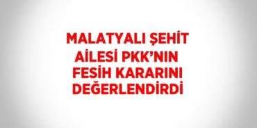 31089256002177720740tasarimli