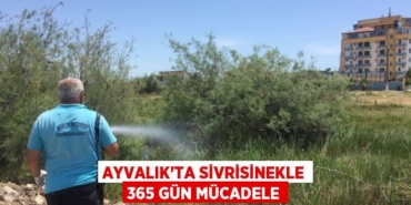 31090281042140630761tasarimli