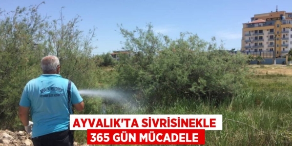 AYVALIK’TA SİVRİSİNEKLE 365 GÜN MÜCADELE