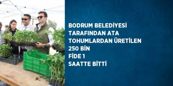 BODRUM BELEDİYESİ TARAFINDAN ATA TOHUMLARDAN ÜRETİLEN 250 BİN FİDE 1 SAATTE BİTTİ
