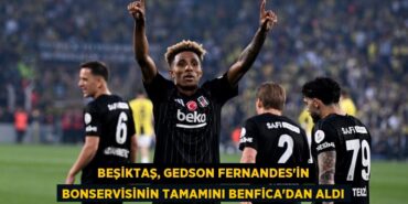 31096306662966531272tasarimli