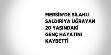 31097297682126929606