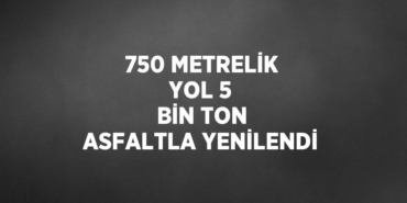 31103244292418030336tasarimli