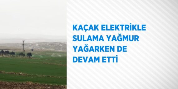 KAÇAK ELEKTRİKLE SULAMA YAĞMUR YAĞARKEN DE DEVAM ETTİ