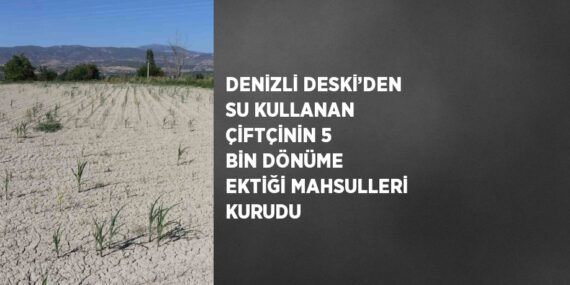 DENİZLİ DESKİ’DEN SU KULLANAN ÇİFTÇİNİN 5 BİN DÖNÜME EKTİĞİ MAHSULLERİ KURUDU