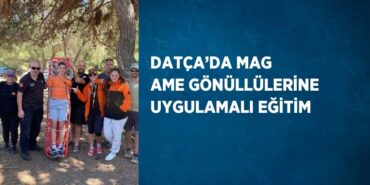 31113239983083026682