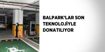 31113319962818226579