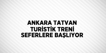 31115282512581831235tasarimli