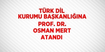 31118285772217423140tasarimli