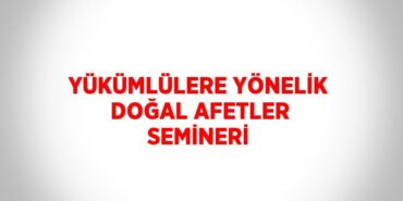 31122225832221724092tasarimli